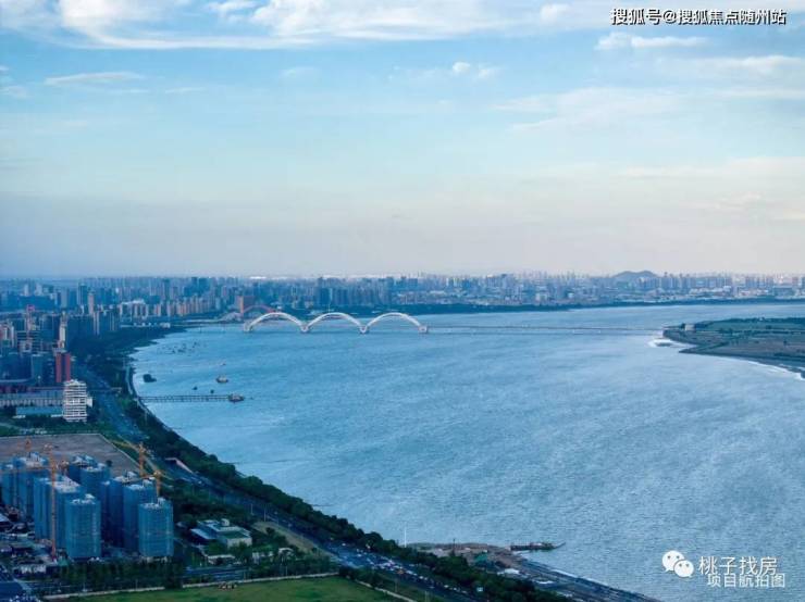 2024年7月19日杭州普中板价格行情最新价格查询