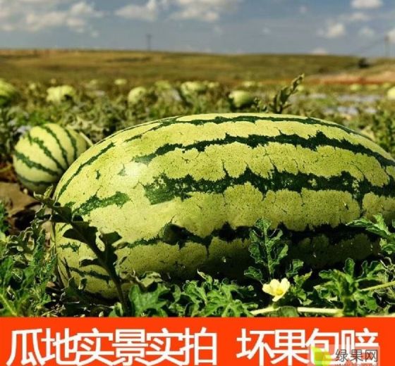 2024年7月21日铸造砂价格行情今日报价查询