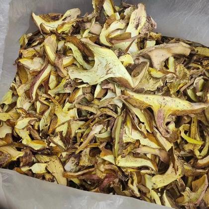 2024年7月26日最新粗铅(云南)价格行情走势查询