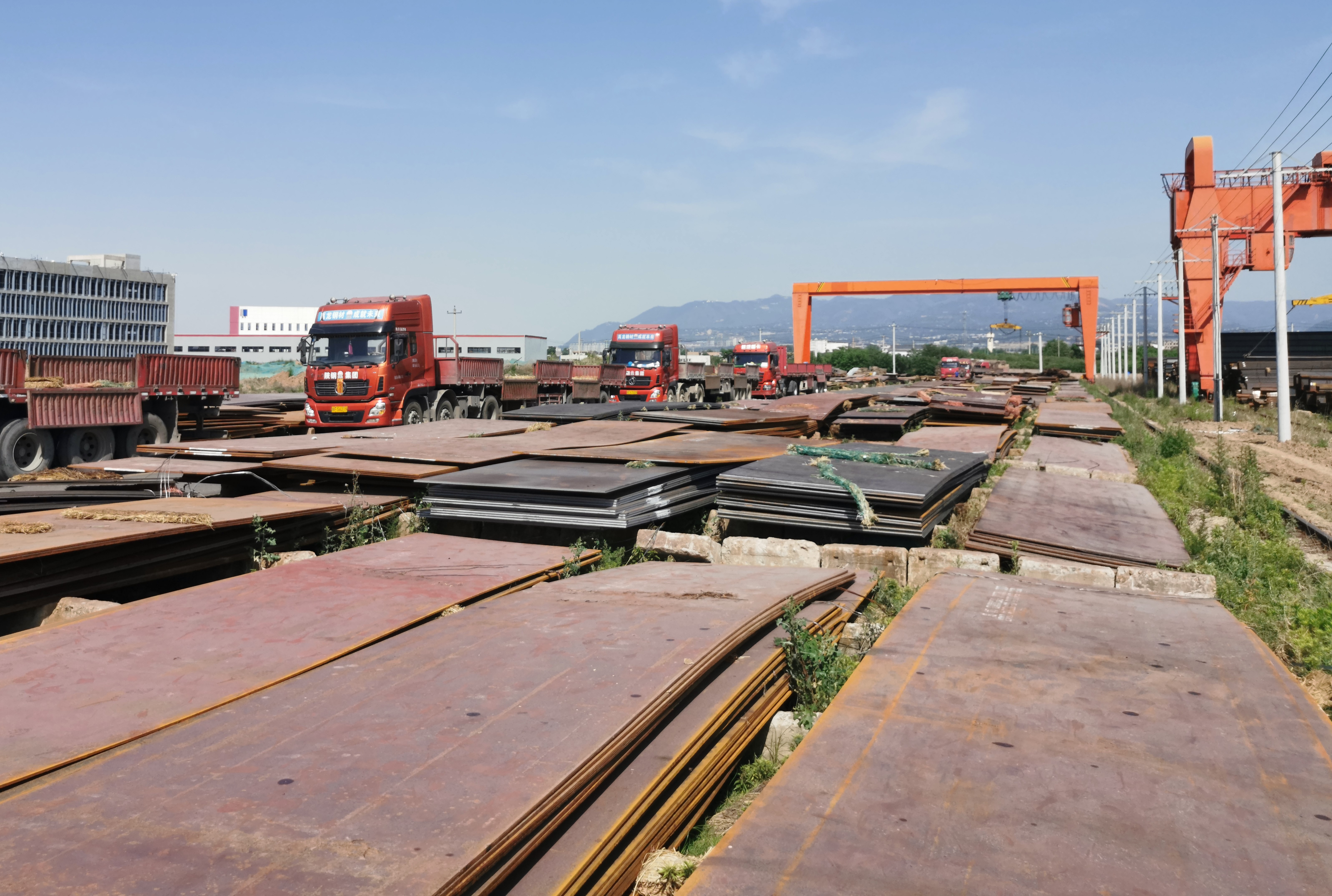 2024年8月13日今日厦门低合金开平板最新价格查询