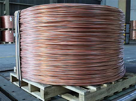 2024年9月20日今日火烧线价格最新行情消息