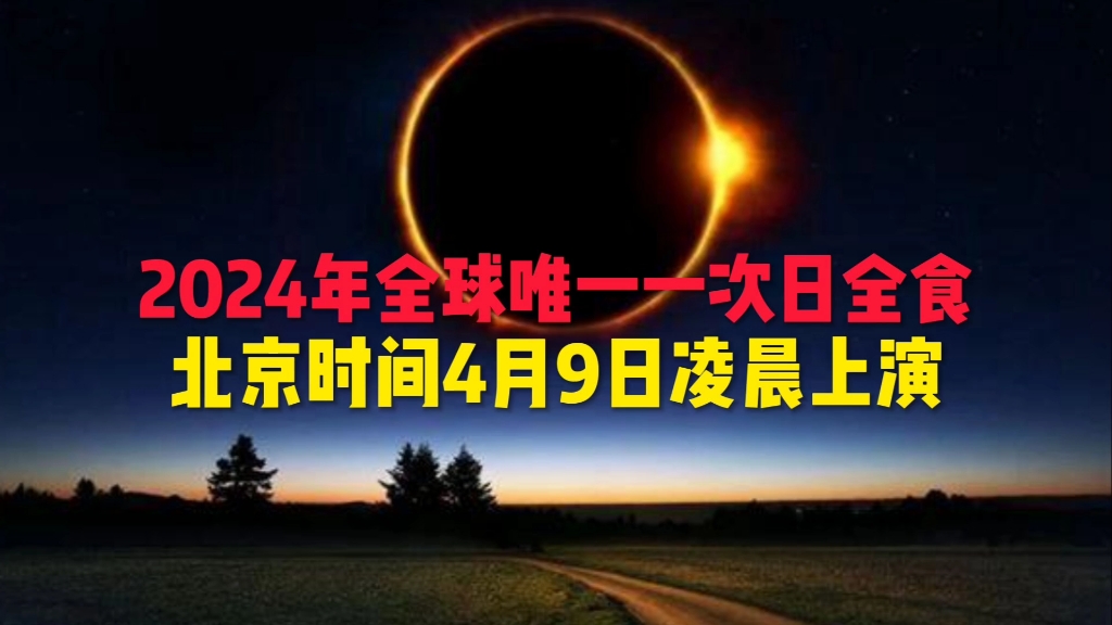2024年9月21日棕刚玉价格行情最新价格查询