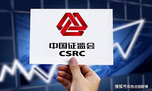 A股公司年内发布113份被立案调查相关公告