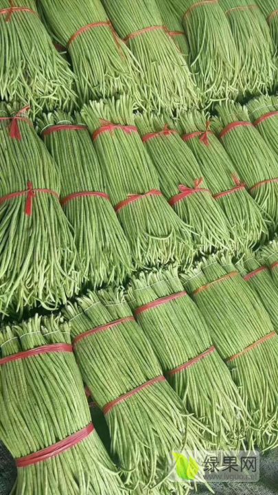 2024年9月26日聊城结构管价格行情今日报价查询