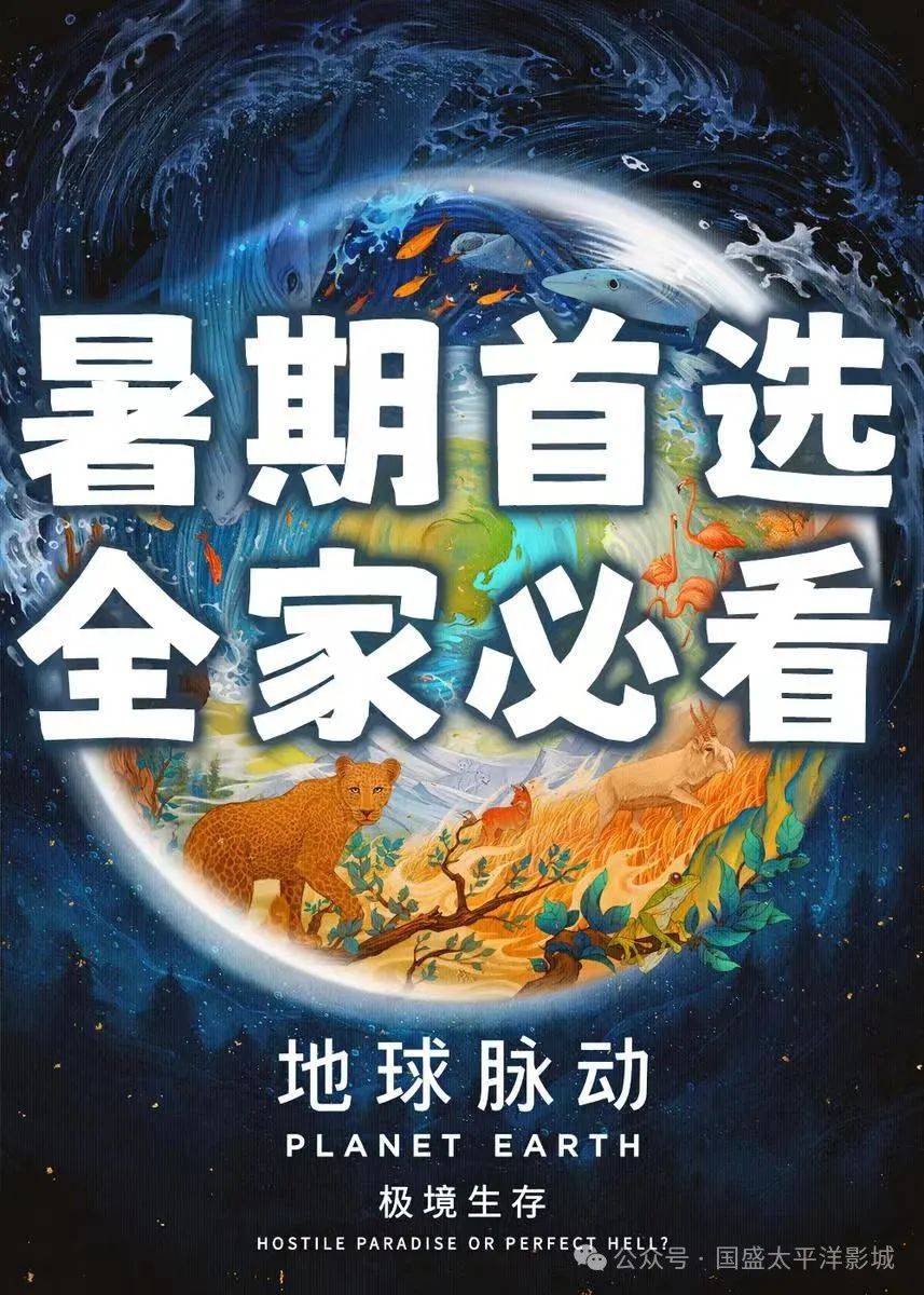 2024年10月5日今日棕刚玉价格最新行情走势