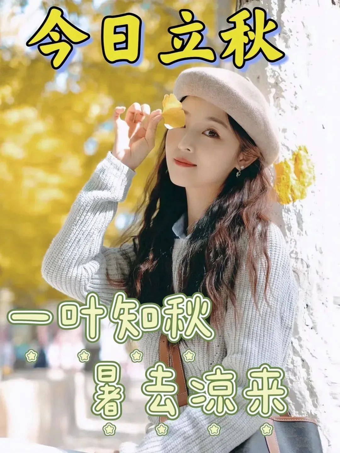 2024年10月23日今日金属镨最新价格查询