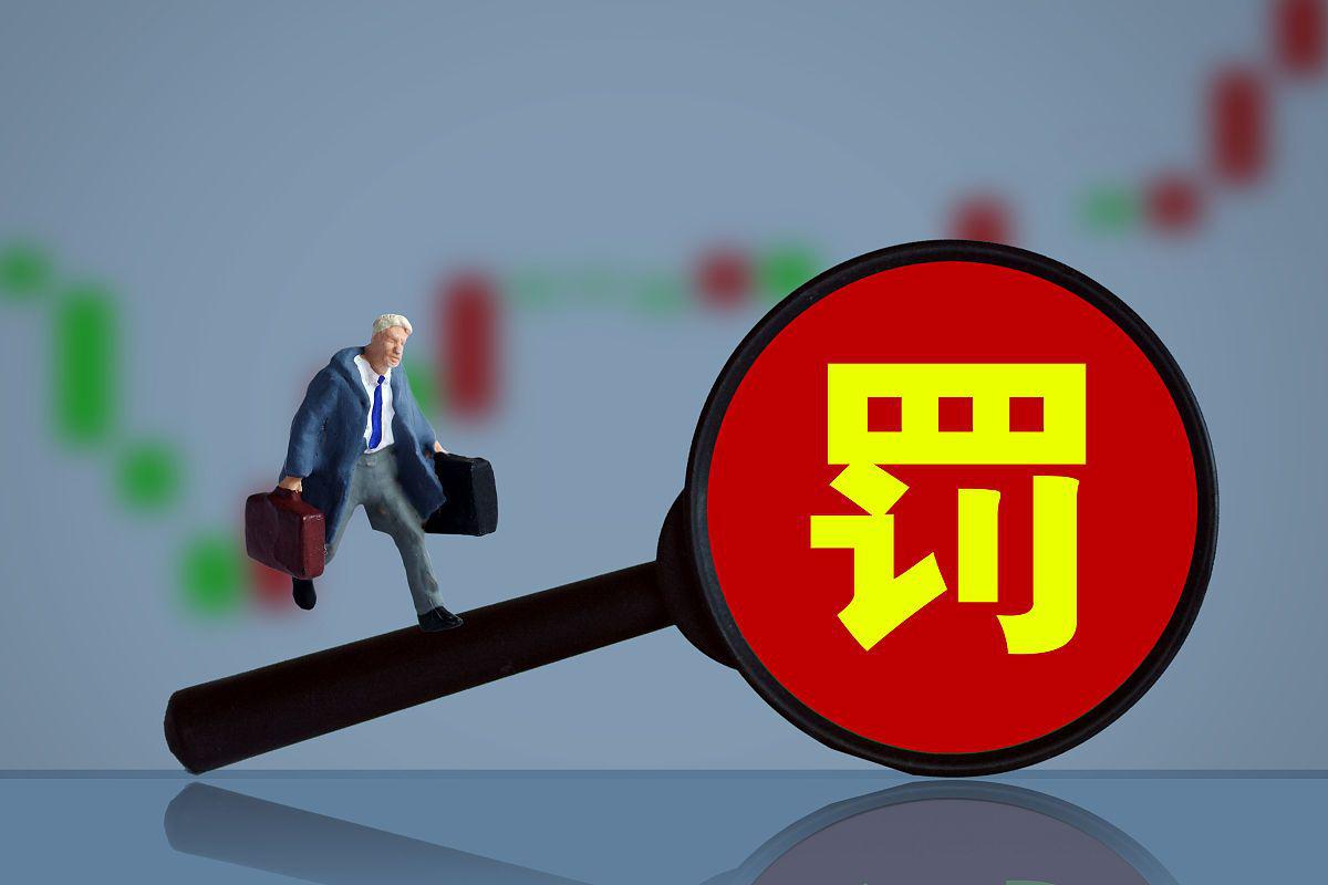 证监会：支持更多投资者对违法违规者追责