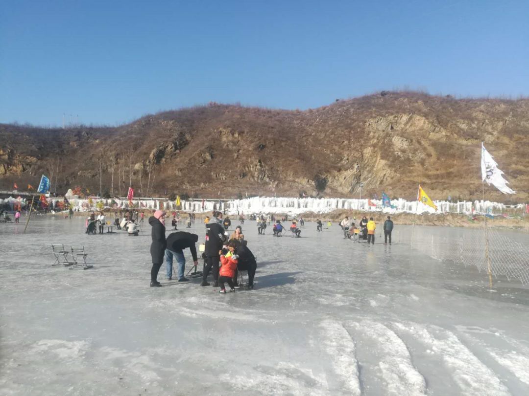 2024年12月24日辽阳高线报价最新价格多少钱