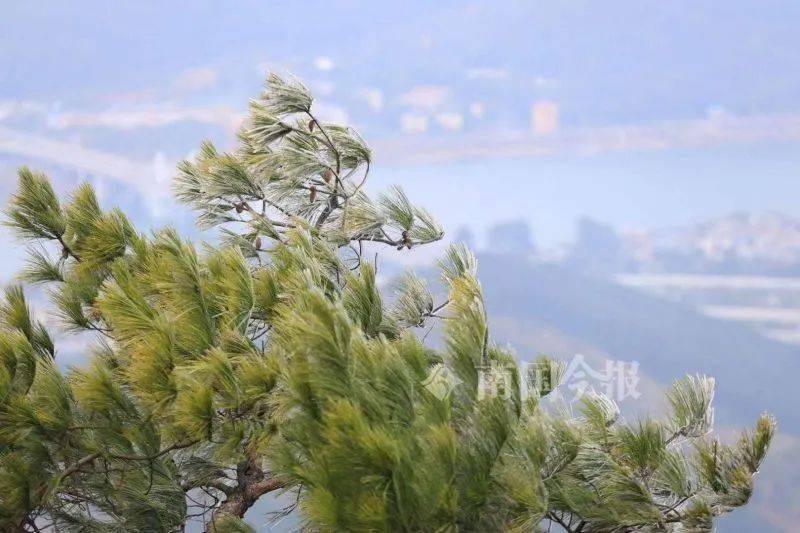 2024年12月24日今日柳州螺纹钢价格最新行情走势