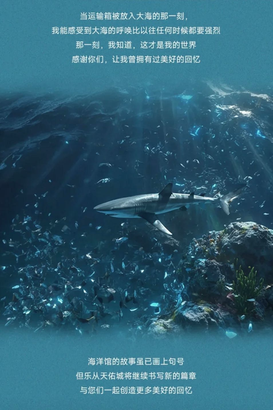 2024年12月26日今日乐从工字钢价格最新行情消息