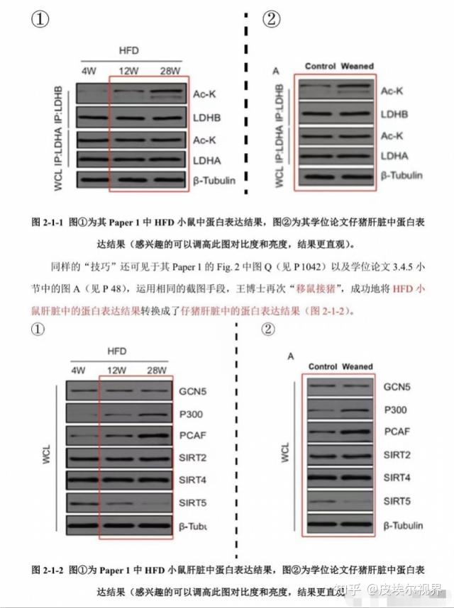 2024年12月29日今日绿沸石价格最新行情消息