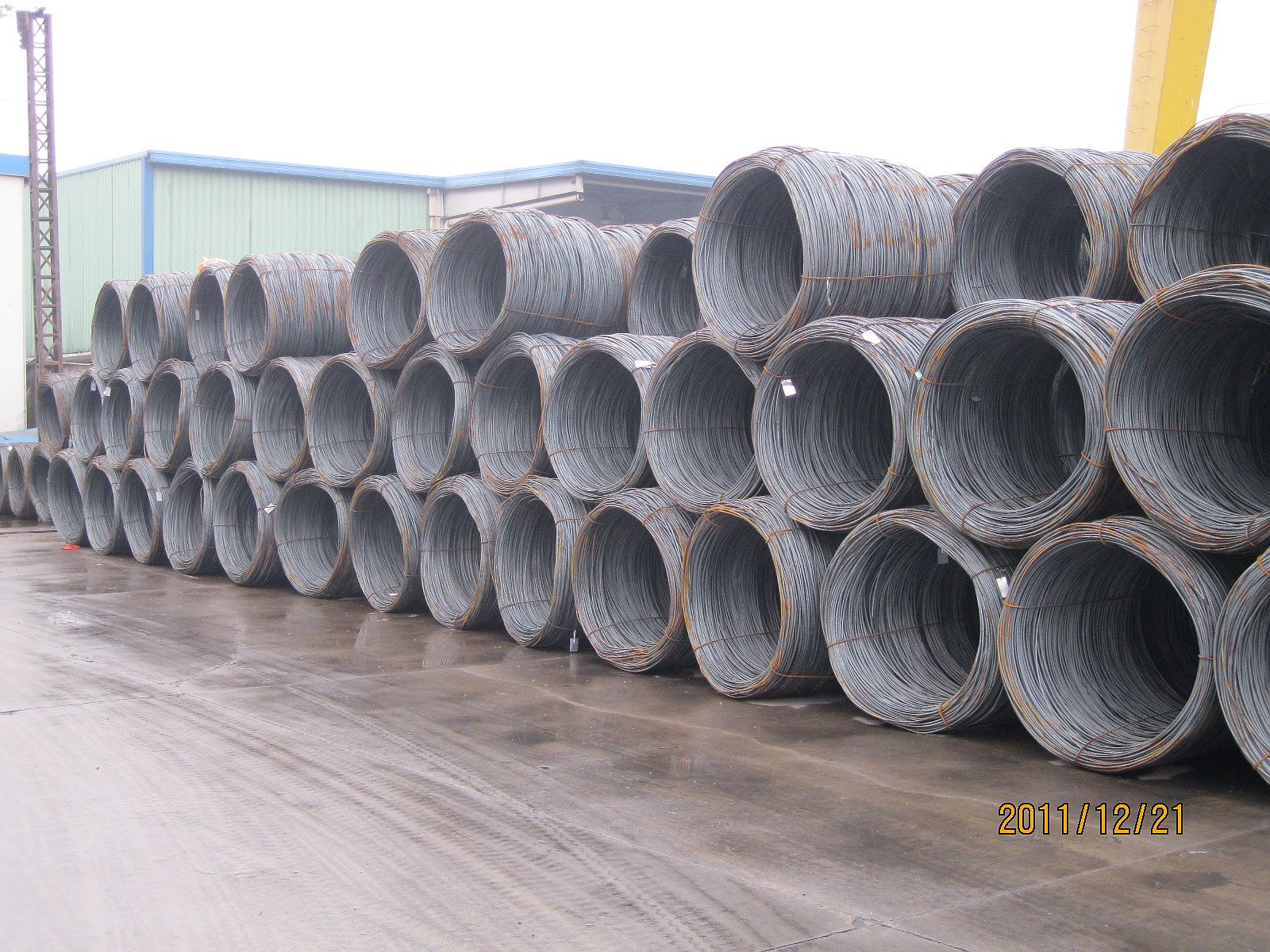 2025年1月6日日照盘螺价格行情今日报价查询