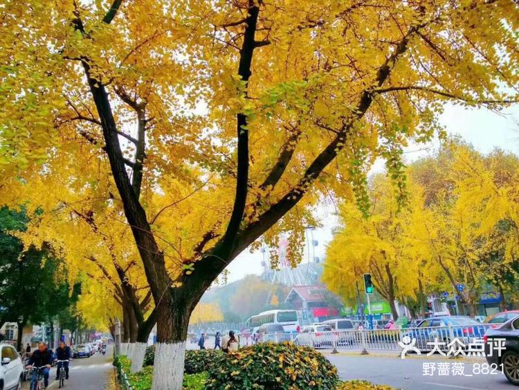 2025年1月9日芜湖盘螺报价最新价格多少钱