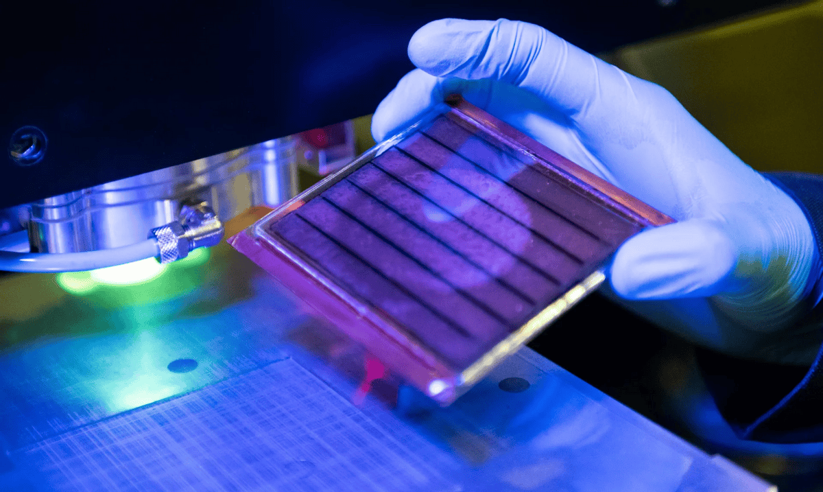 印尼当局有意维护镍价 特朗普即将上台