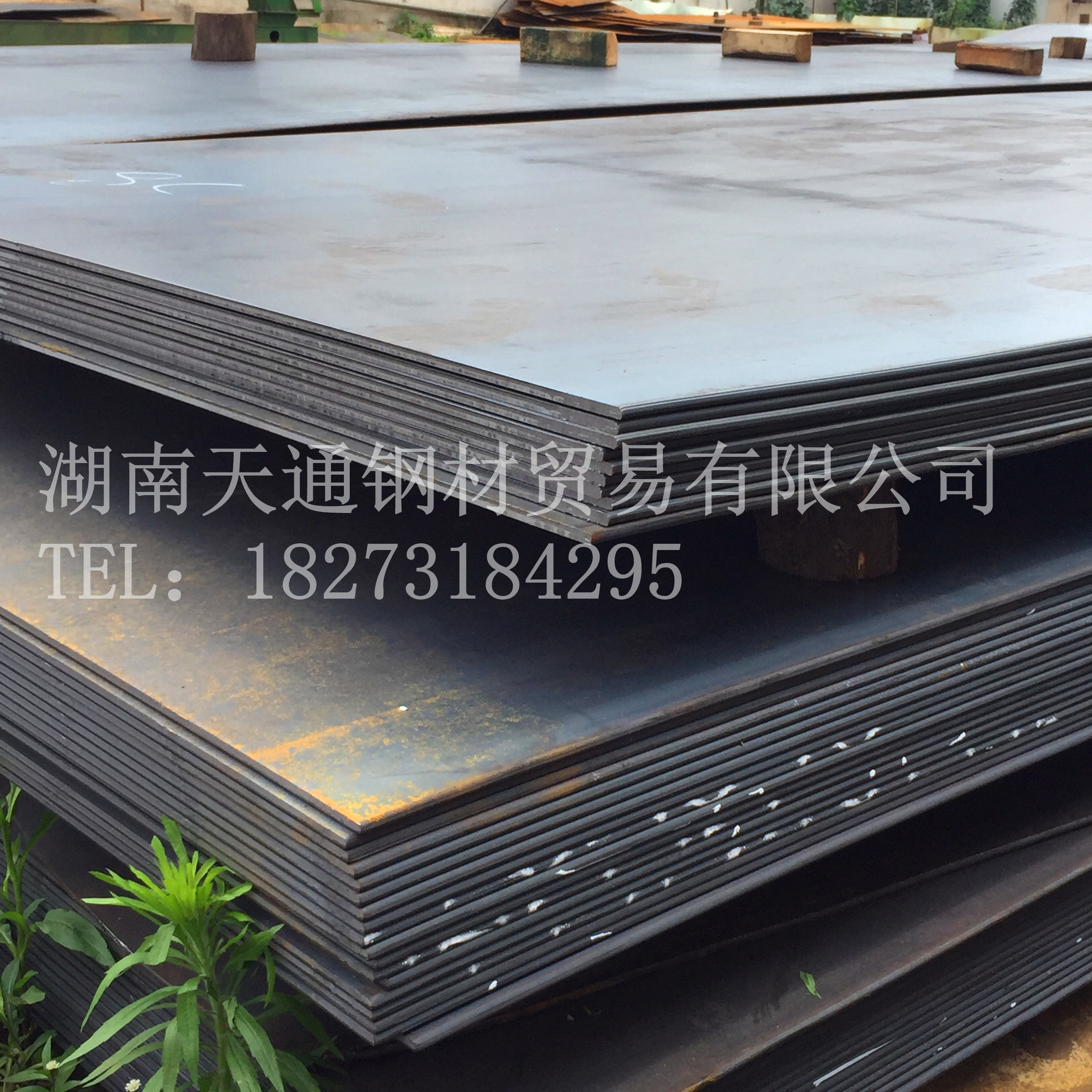 2025年1月20日福州热轧开平板价格行情今日报价查询