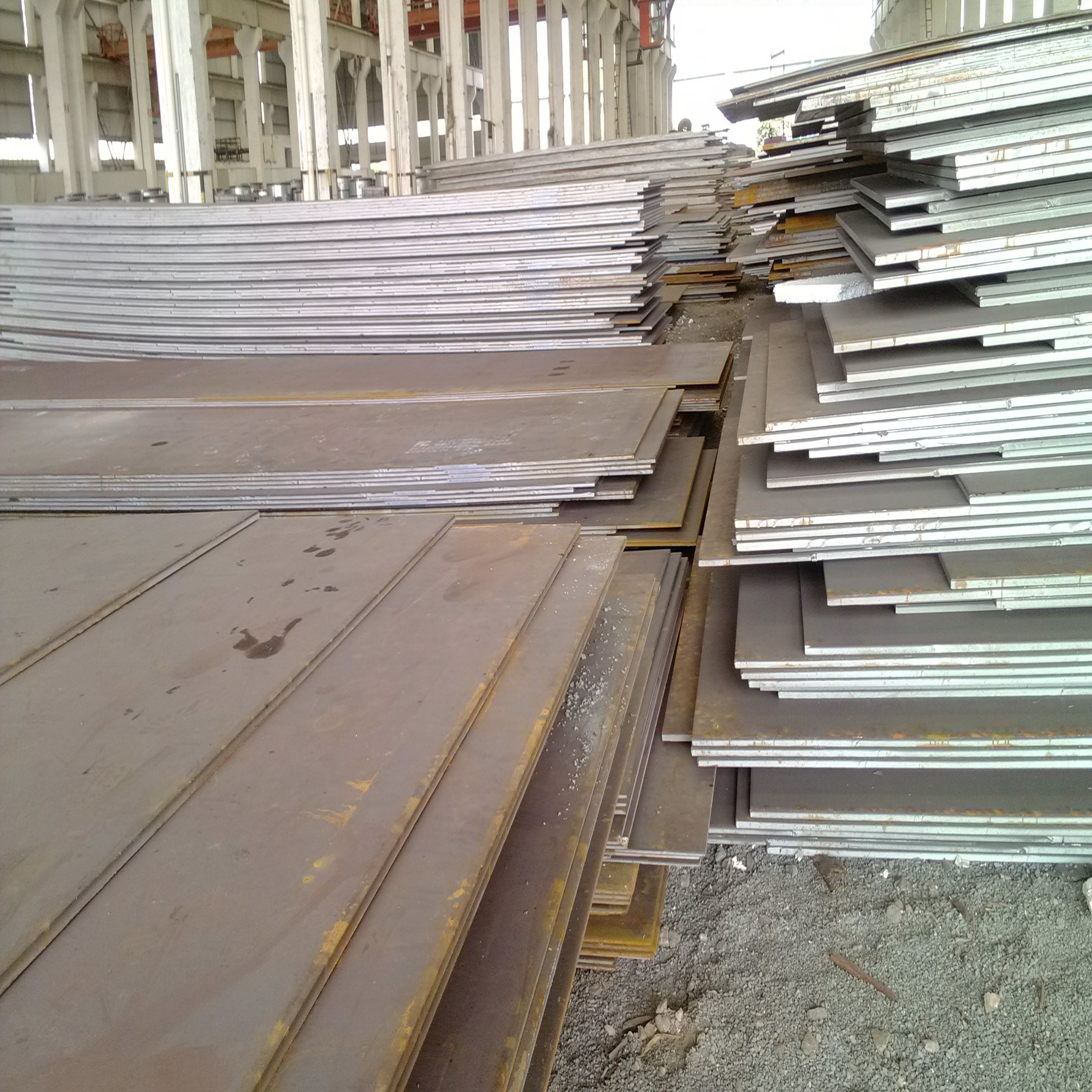 2025年1月20日最新潍坊普中板价格行情走势查询