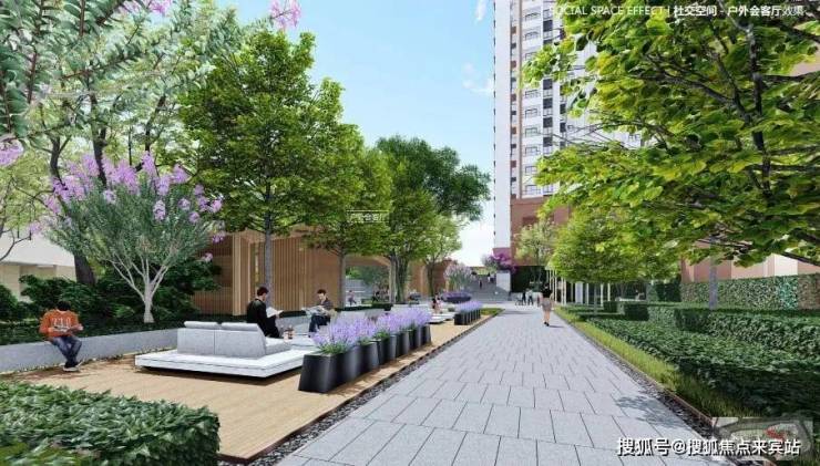 2025年1月20日最新深圳盘螺价格行情走势查询