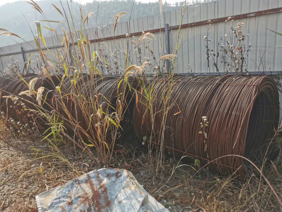 2025年2月12日最新福州盘螺价格行情走势查询