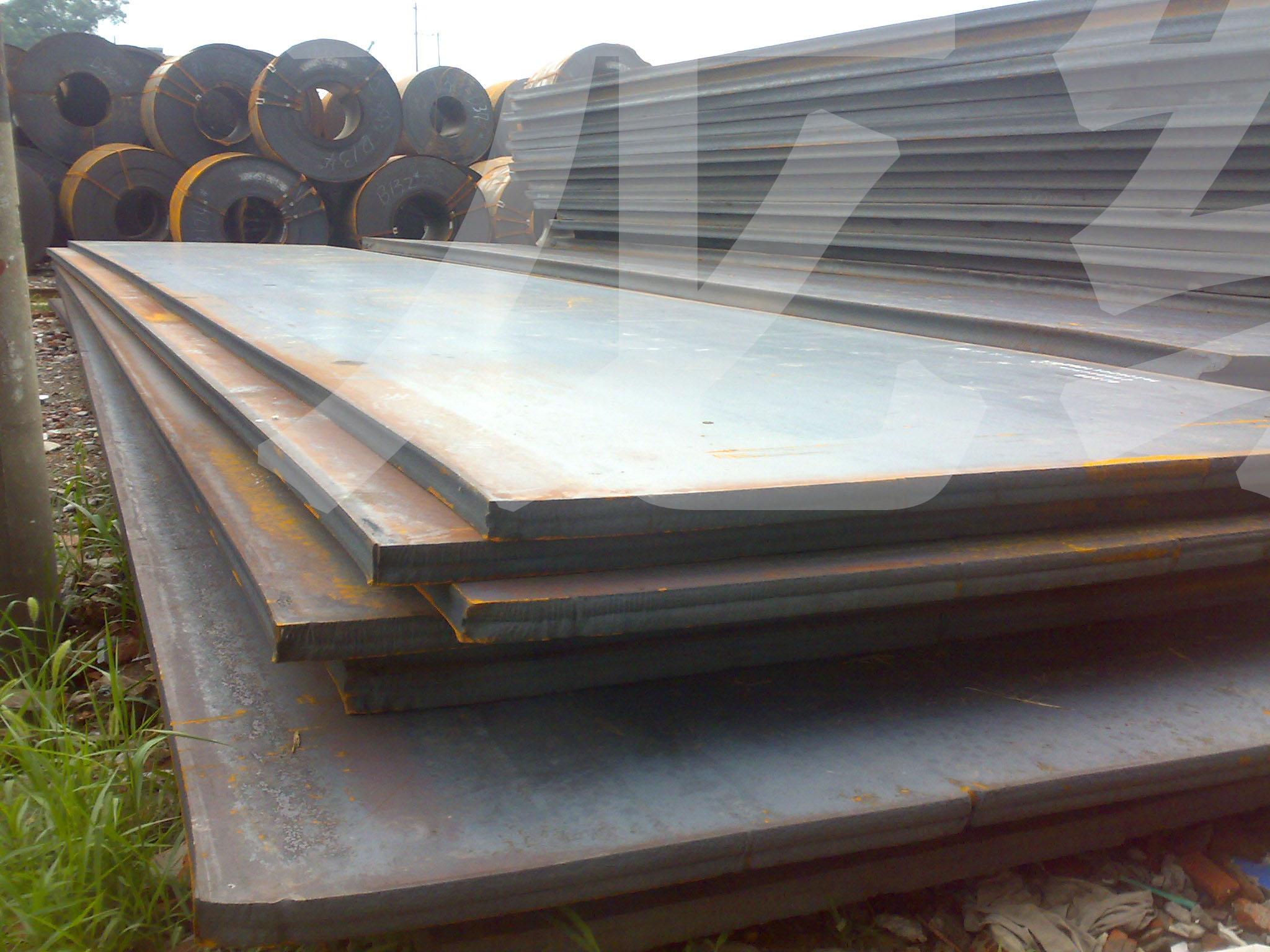 2025年2月19日今日南京低合金板卷价格最新行情消息