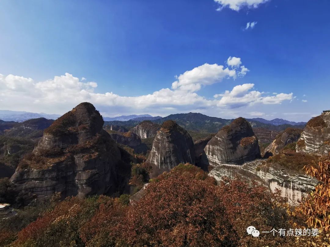 2025年3月5日今日桂林盘螺价格最新行情消息