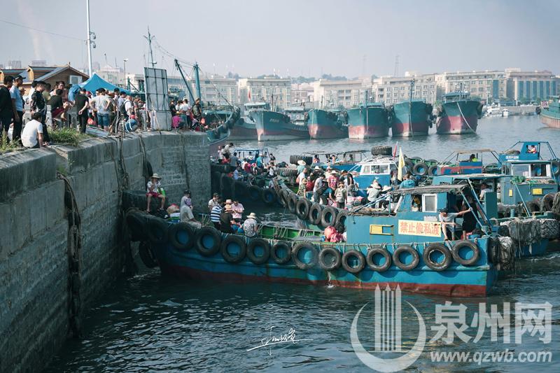 2025年3月20日今日泉州普厚板最新价格查询
