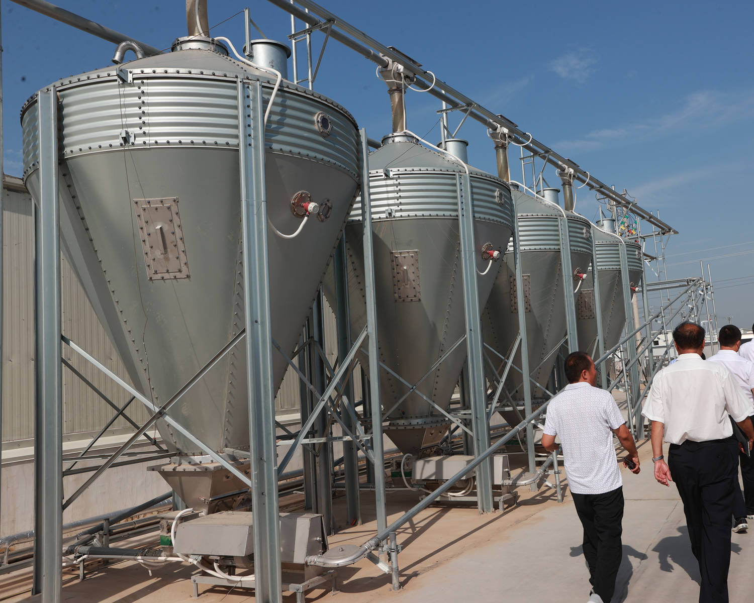 “提质增效重回报”专项行动倡议发布一周年——超1200家沪市公司绘制行动蓝图 多维度发力成效初显