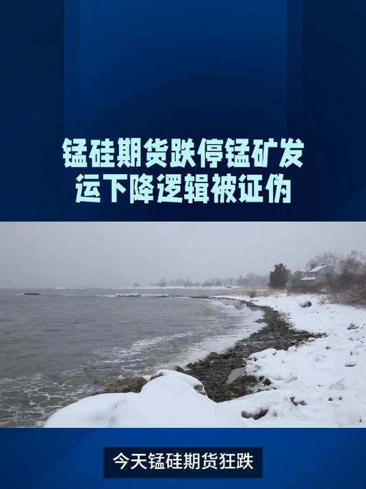 3月25日收盘锰硅期货资金流出2553.42万元