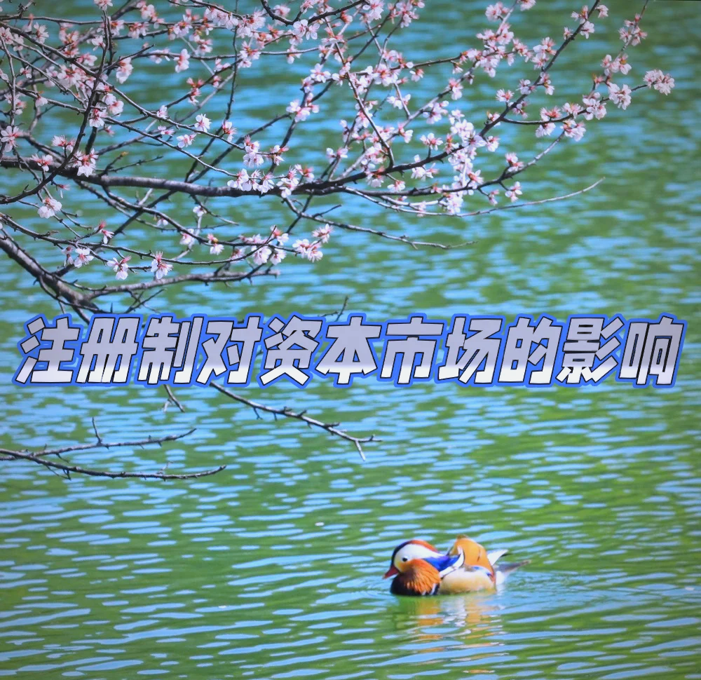 资本市场加力服务优质中小企业