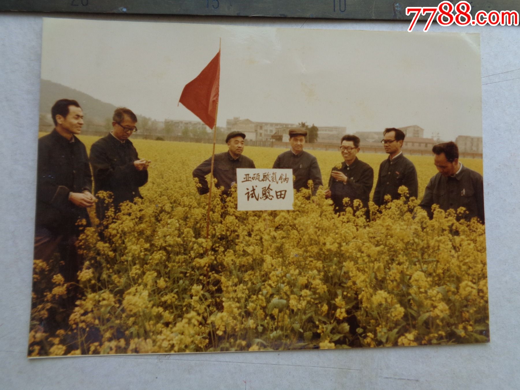 “科八条”发布一年 “试验田”绽放新质生产力之花